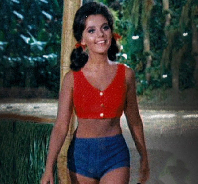 Dawn Wells Body Measurements