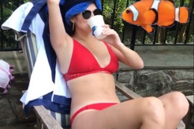 Kaitlan Collins Bra Size